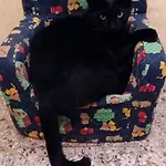 Отель Moretti 2*