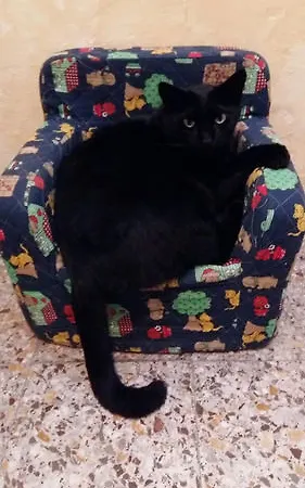 Отель Moretti 2*